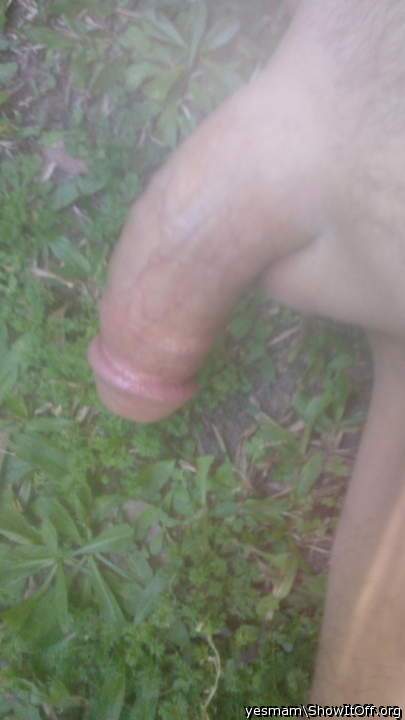 Photo of a love wand from yesmam