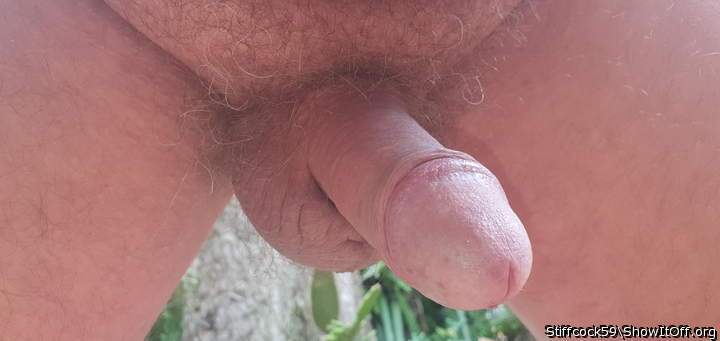 TIME FOR A SHAVE