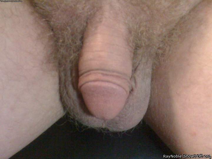 Photo of a schlong from RayNoble