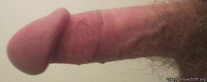 Photo of a wiener from cskyy