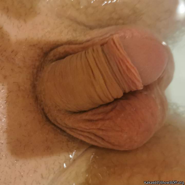Photo of a snake from Kakas63