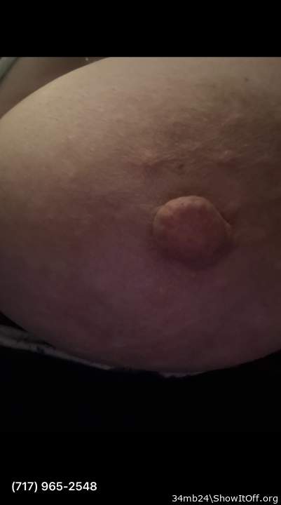 Photo of a snake from 34mb24