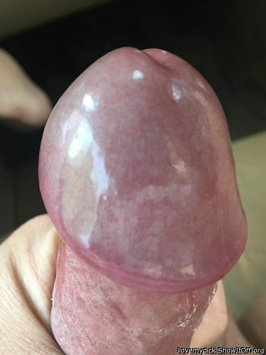 I waxed my dick head with my precum