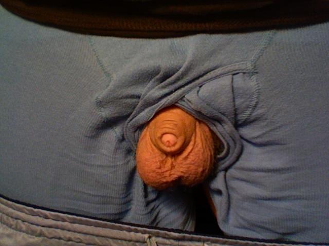 Photo of a love stick from PoopSmith