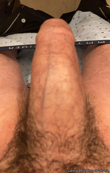Photo of a ram rod from Georgiebig