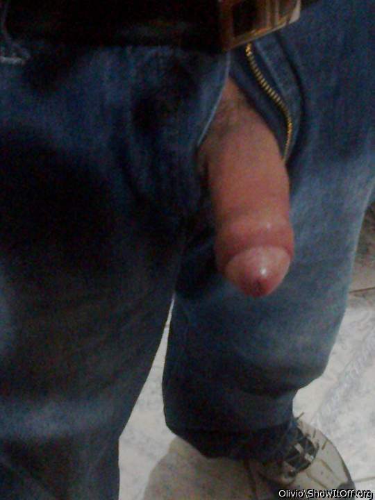 Photo of a bat from olivio