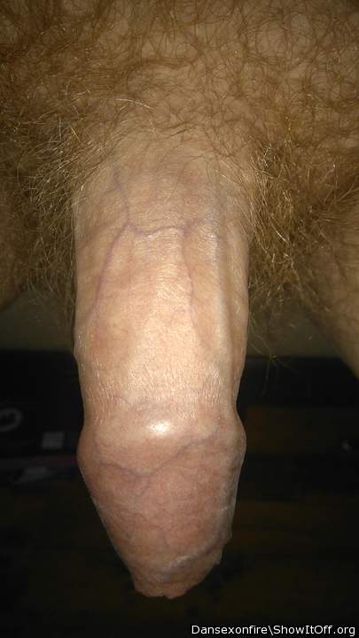 Photo of a rooster from DanSexOnFire