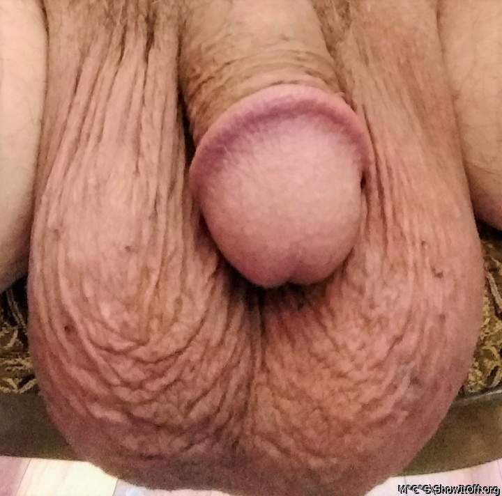 Photo of a schlong from M*C*S
