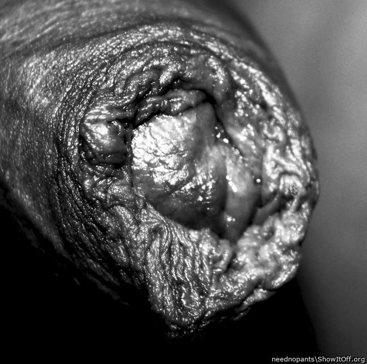Photo of a shaft from neednopants