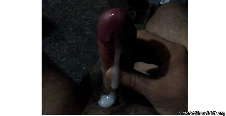 Photo of a weasel from victorio