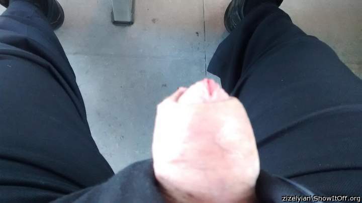 Photo of a sausage from zizelyian