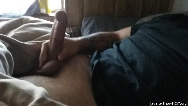 Photo of a weasel from jayare
