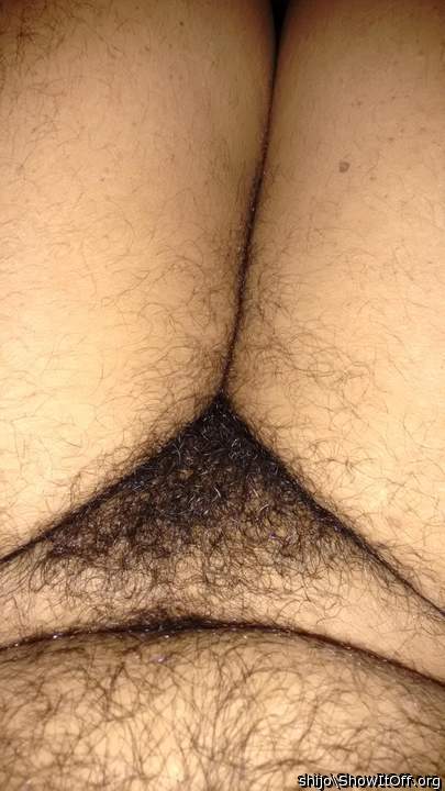 Photo of a dong from Shijo