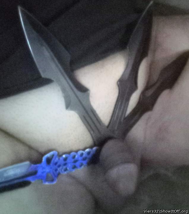 Photo of a bat from Viers32