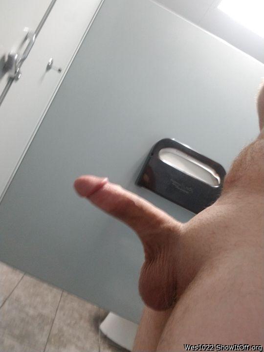 Photo of a lizard from Wes1022