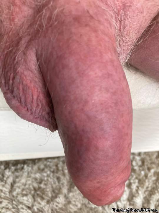 Photo of a horn from Thirdleg