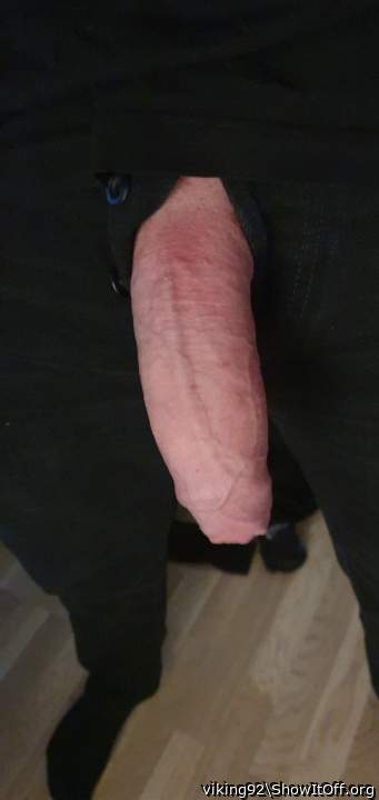 Photo of a cock from viking92