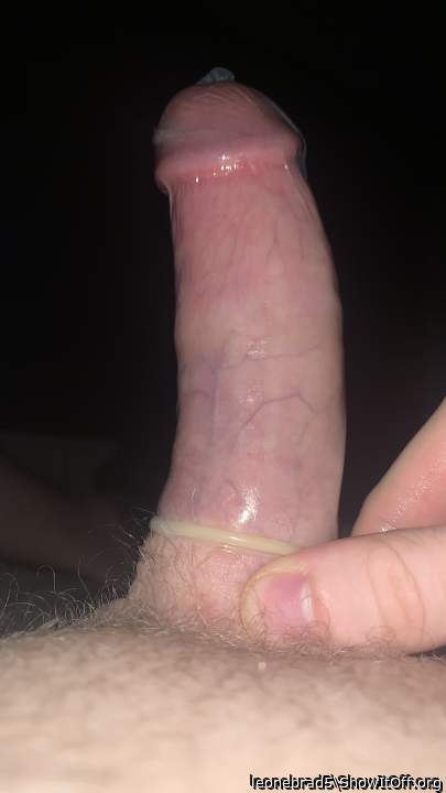 Photo of a cock from leonebrad5