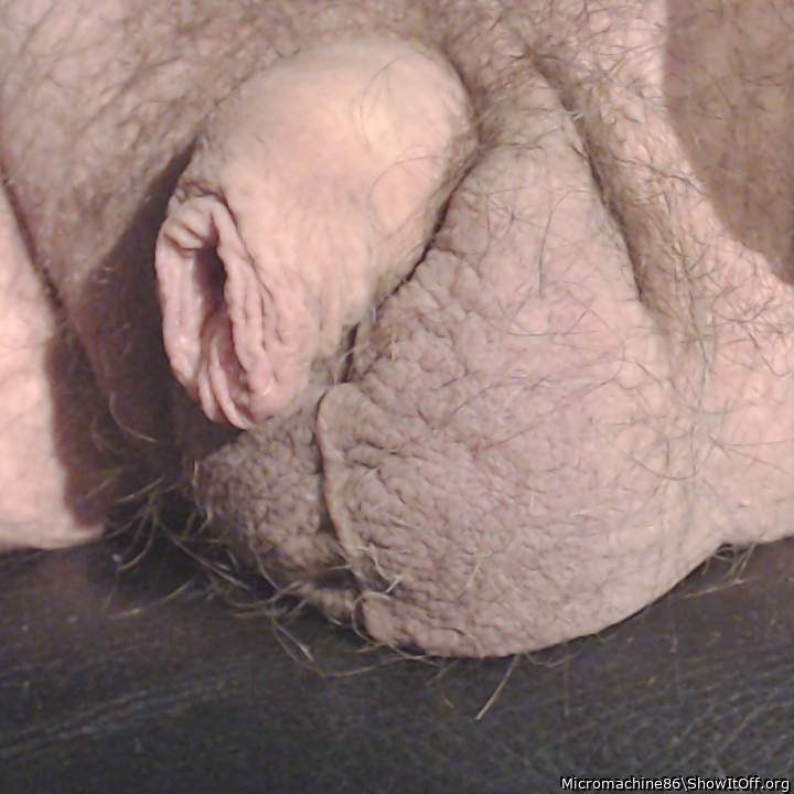 Actually hard! Even so, completely covered in foreskin!