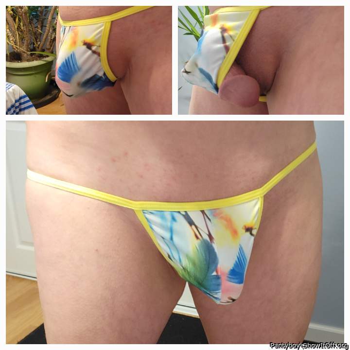 Photo of a one-eyed monster from Pantyboy