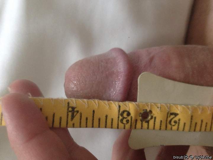 4 whole inches hard.