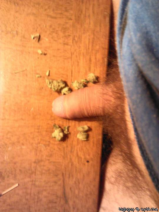wiener and weed, what more do u need?