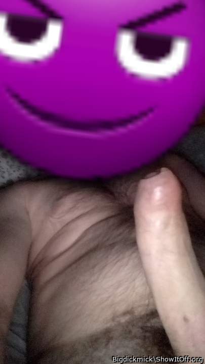 Photo of a weasel from Bigdickmick