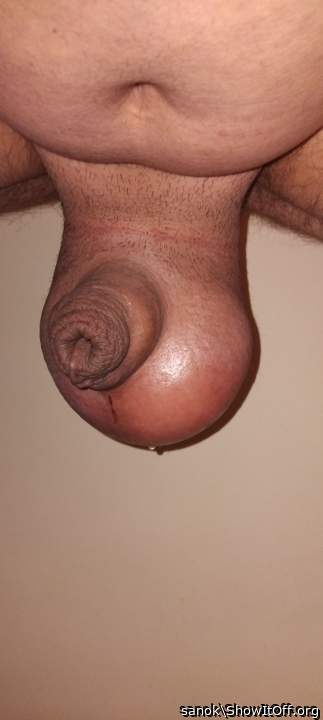 Testicles Photo from sanok