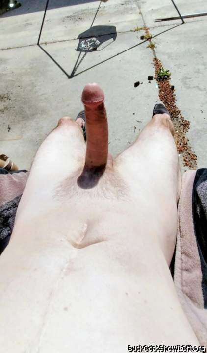 Photo of a pecker from BuckOda