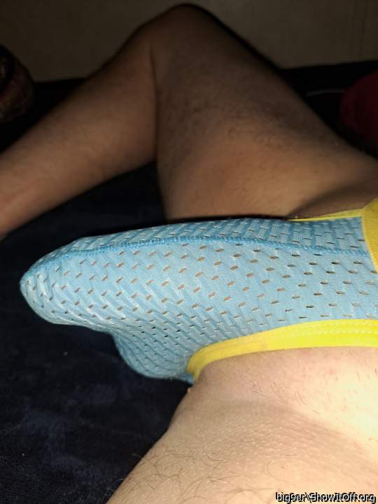 Photo of a python from big9er
