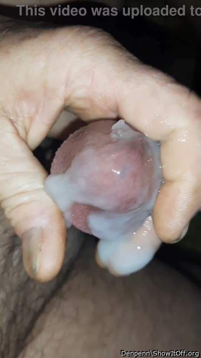 Adult image from Denpenn