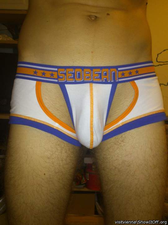 new boxer