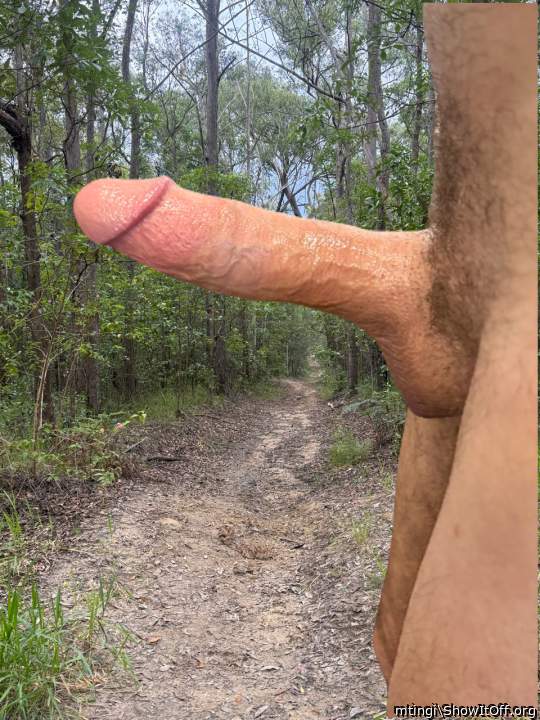 Photo of a snake from mtingi