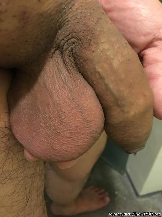 Photo of a bat from ilovemydick