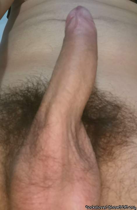 Wow! you're a really big boy, I like your fully grown hair