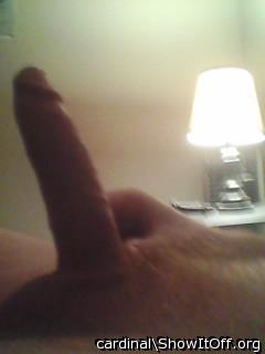Photo of a love muscle from cardinal