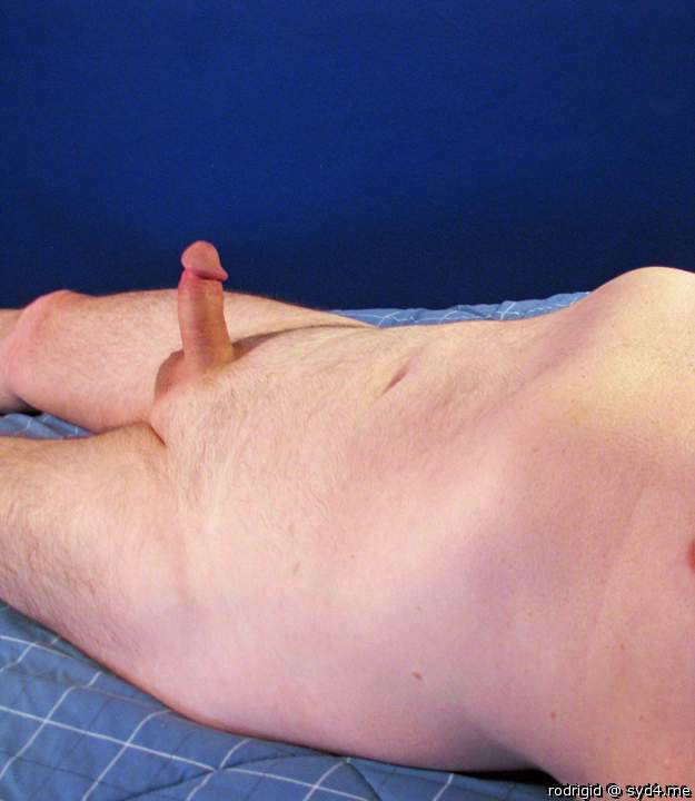 Photo of a third leg from rodrigid