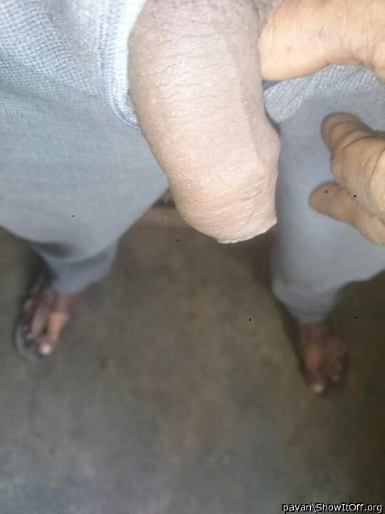 Photo of a python from pavan
