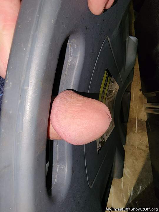 Looks Like Fun!   