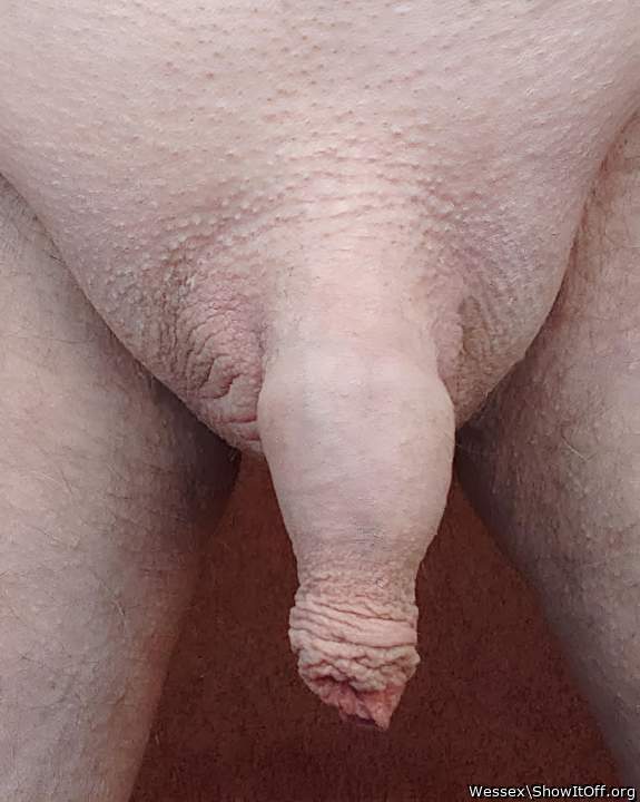 would love to suck this penis with his awesome foreskin    