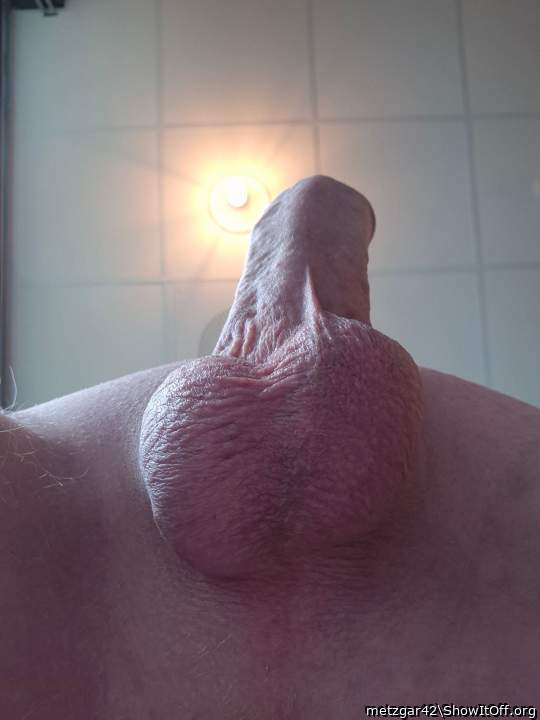 Testicles Photo from metzgar42