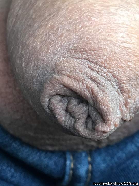 Photo of a cavalier from ilovemydick