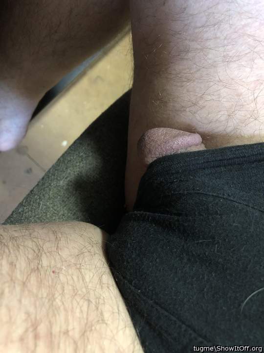 Photo of a wiener from tugme