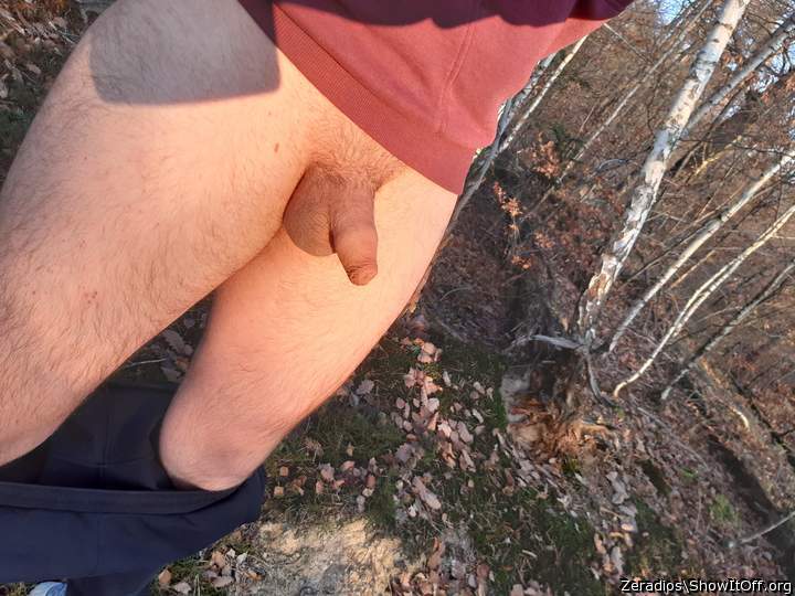 Photo of a short leg from Zeradios