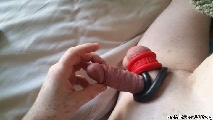 Photo of a middle leg from rsmithtn