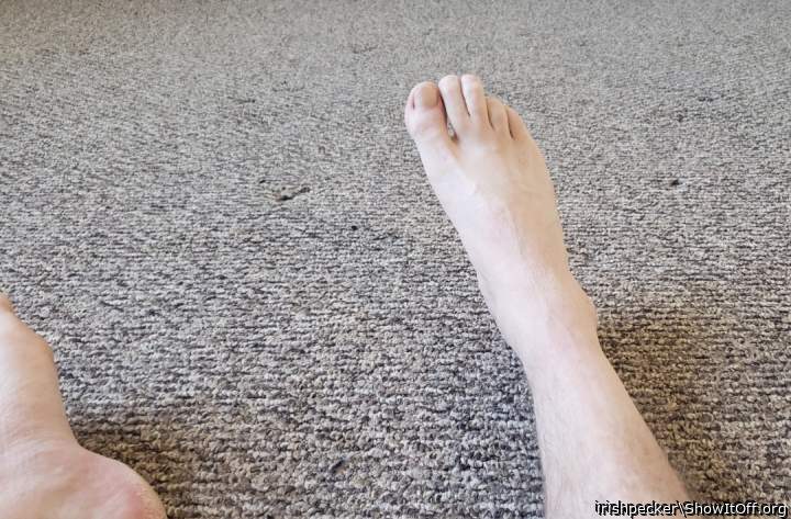 Adult image from irishpecker