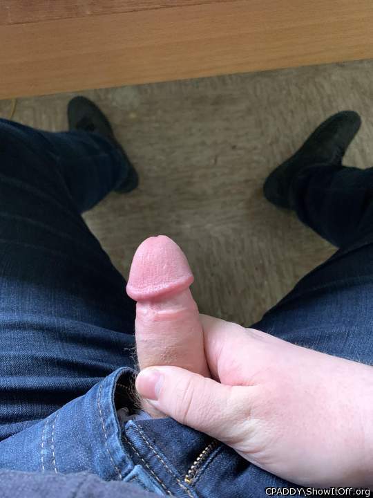 My circumcised Cock
