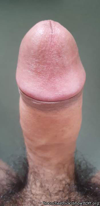 Photo of a bat from Sixinchesthick