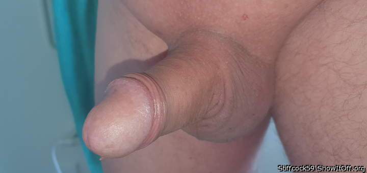 Photo of a weasel from Stiffcock59
