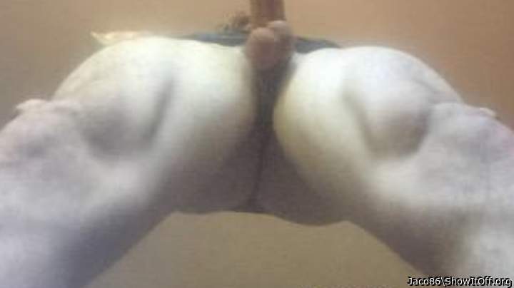 Photo of a snake from Jaco86